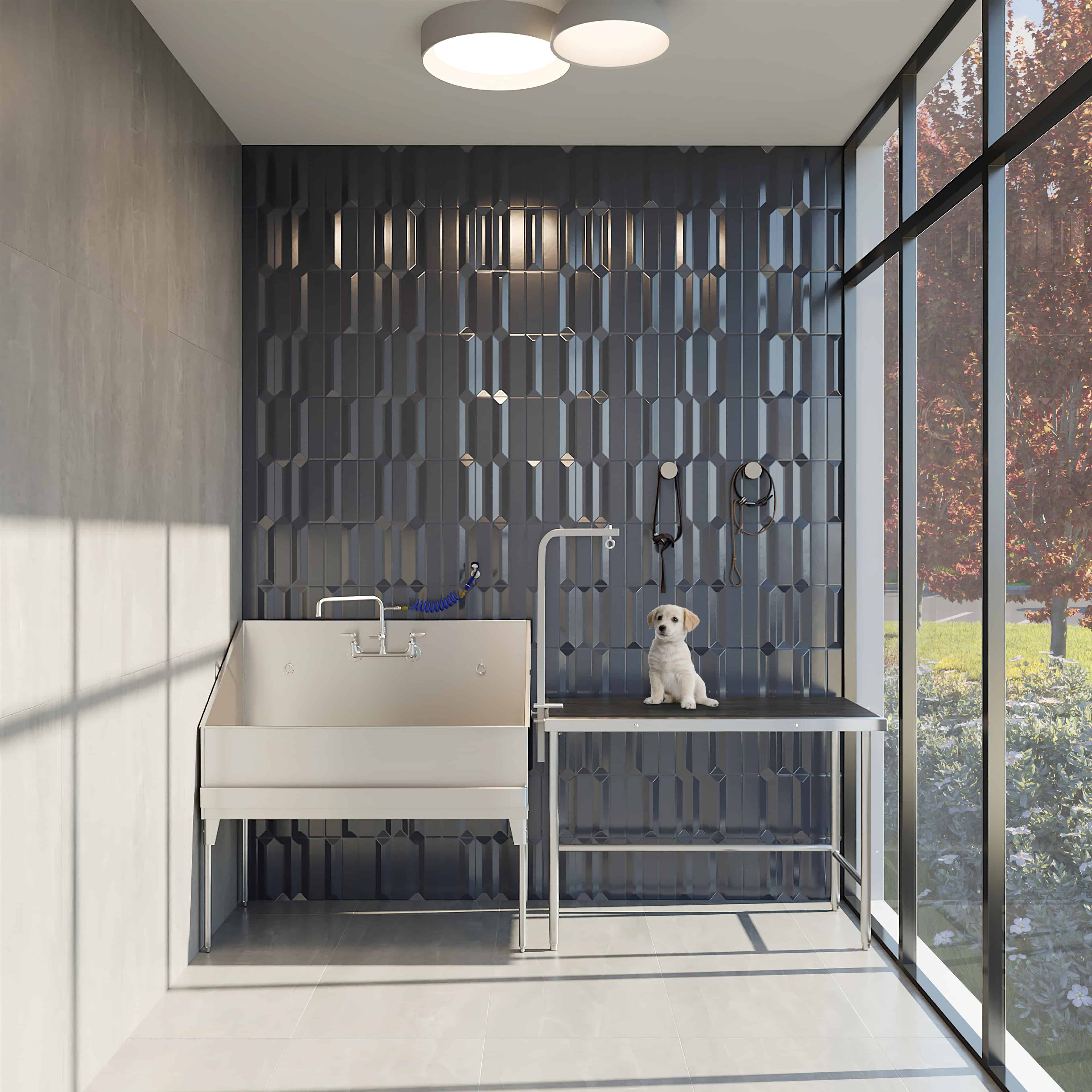 The W Condos gallery image