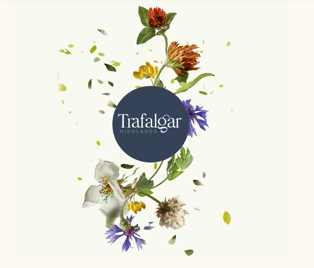 Trafalgar Highlands rendering