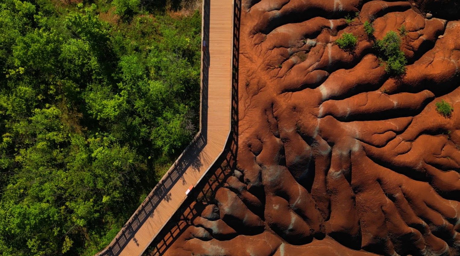 Summer Valley gallery image