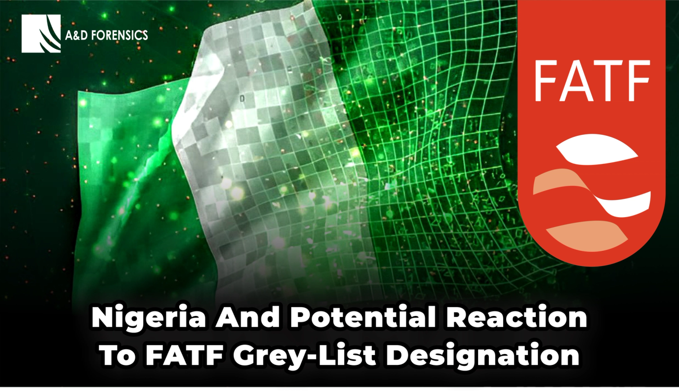 Nigeria and Potential Reaction to FATF Grey-List Designation