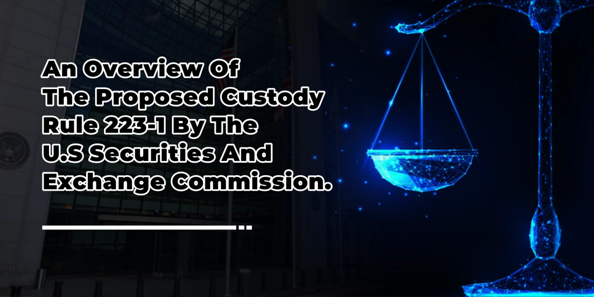 An Overview of the Proposed Custody Rule 223-1 by the U. S. Securities and Exchange Commission For Registered Investment Advisers