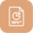 AML/CFT Audit icon