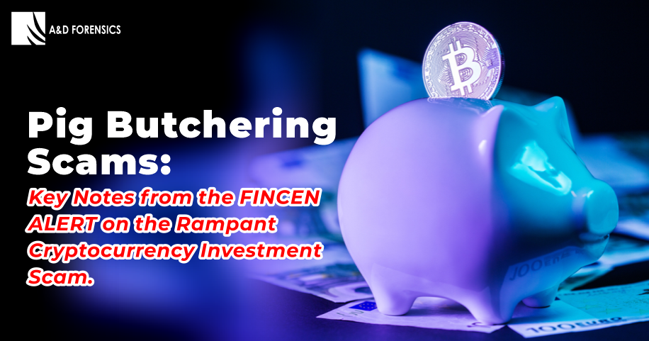 Pig Butchering Scams: Key Notes From the FINCEN ALERT on the Rampant Cryptocurrency Investment Scam