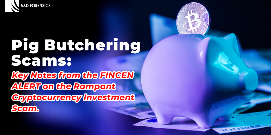 Pig Butchering Scams: Key Notes From the FINCEN ALERT on the Rampant Cryptocurrency Investment Scam