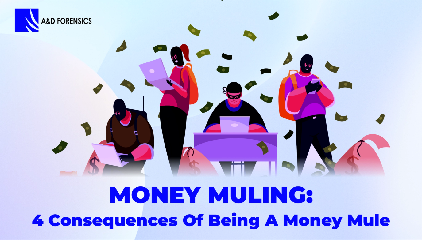 Money Muling: 4 Consequences of Being a Money Mule