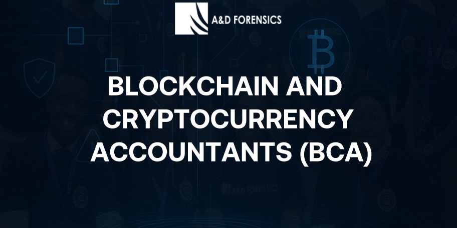 Blockchain and Cryptocurrency Accountants
