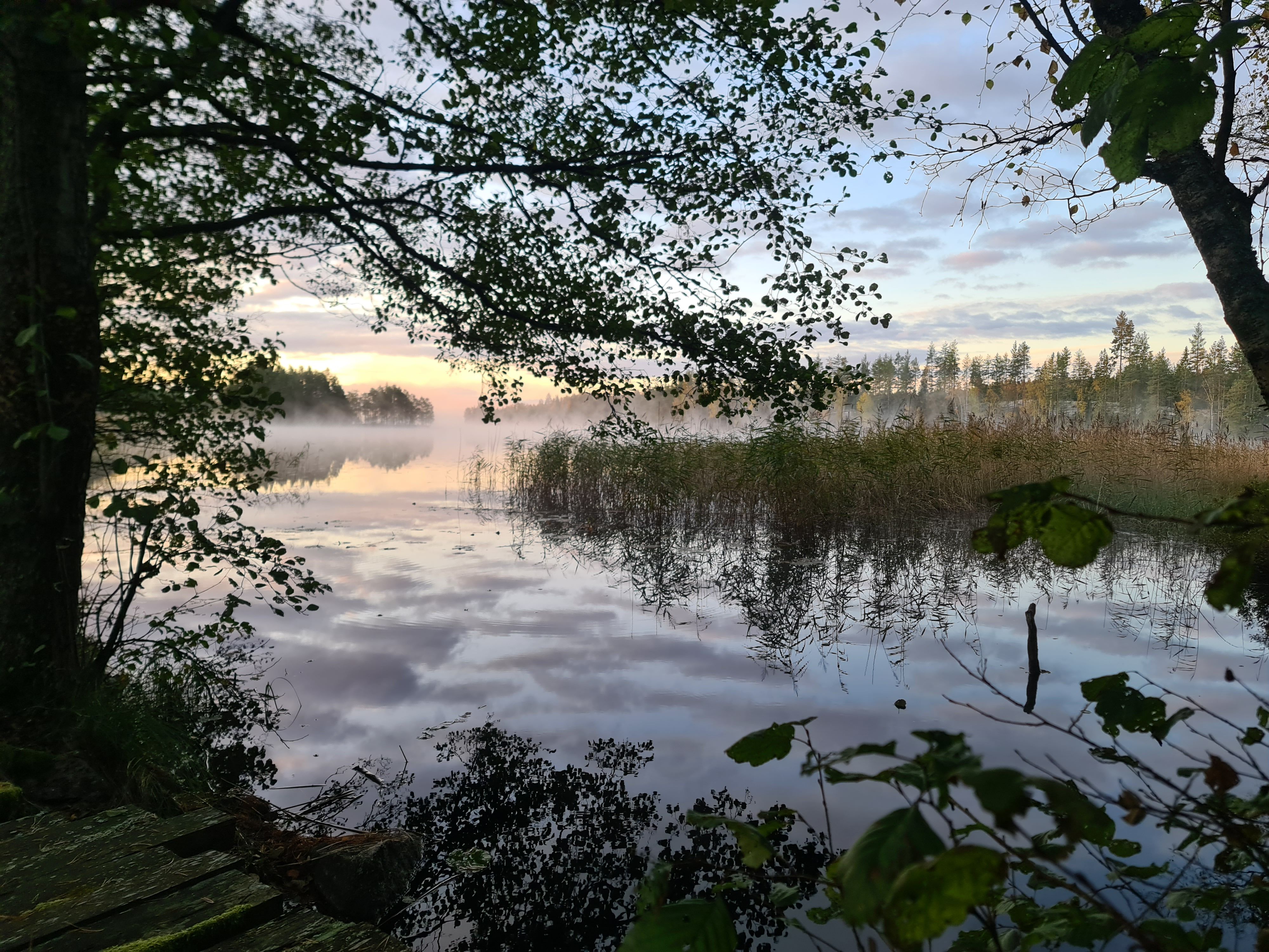 Mäklare Tisarestrand