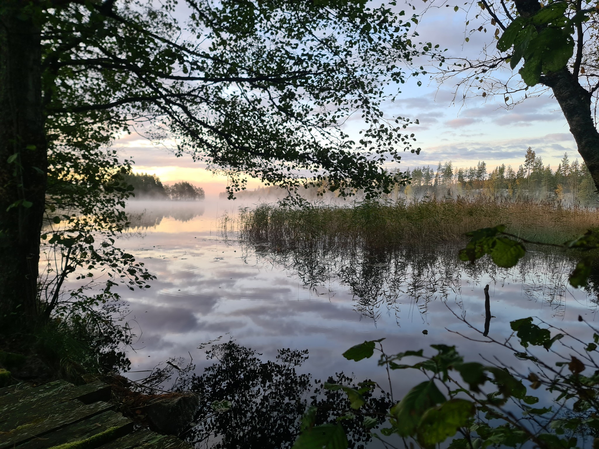 Mäklare Tisarestrand