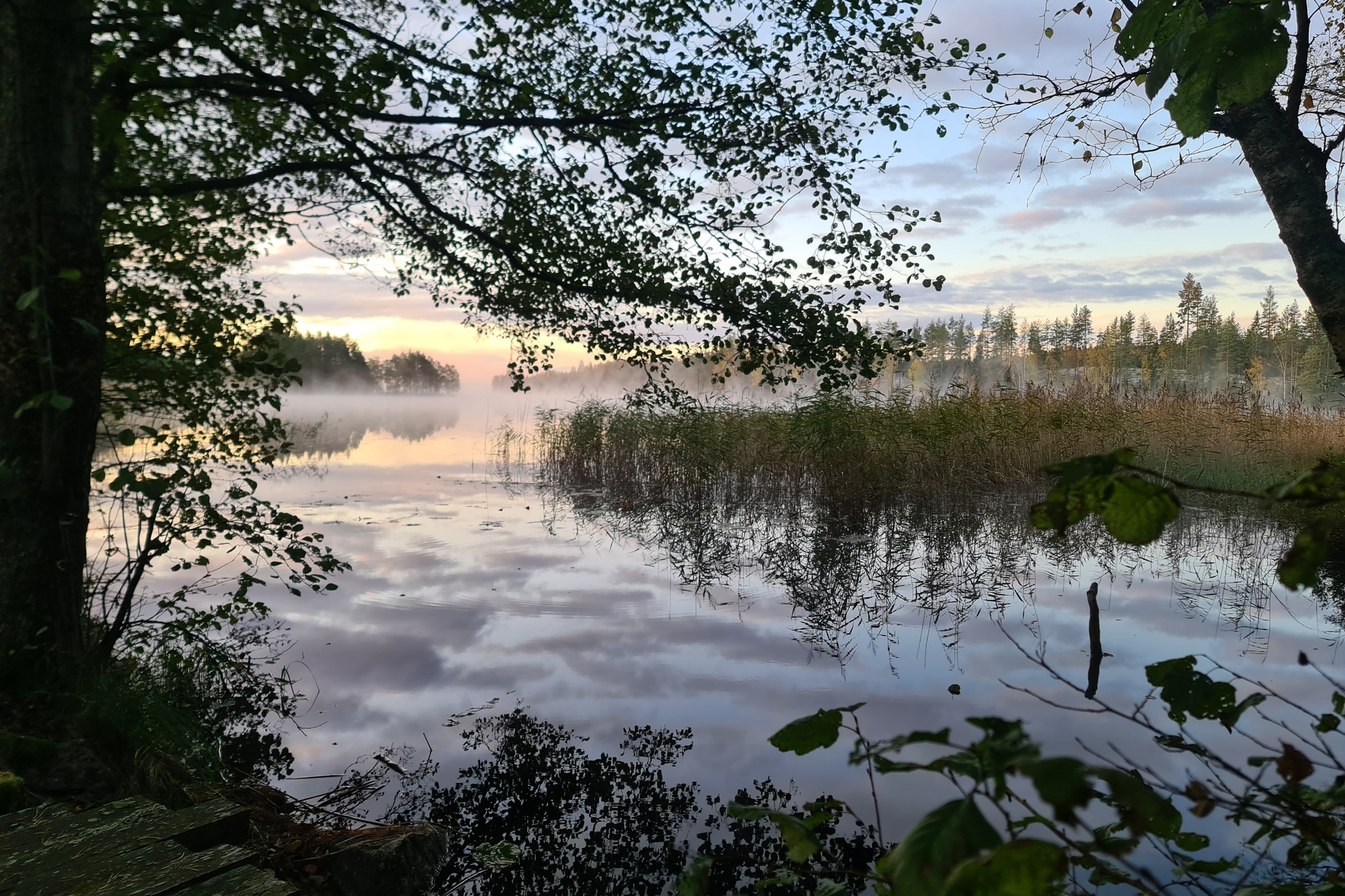 Mäklare Tisarestrand