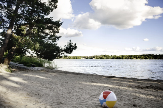 Mäklare Skogås