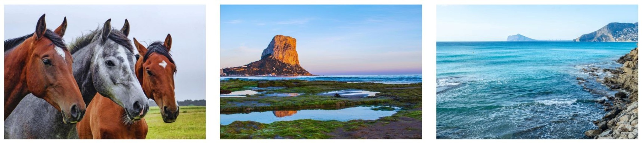 Hästar, Calpe klippan, havet