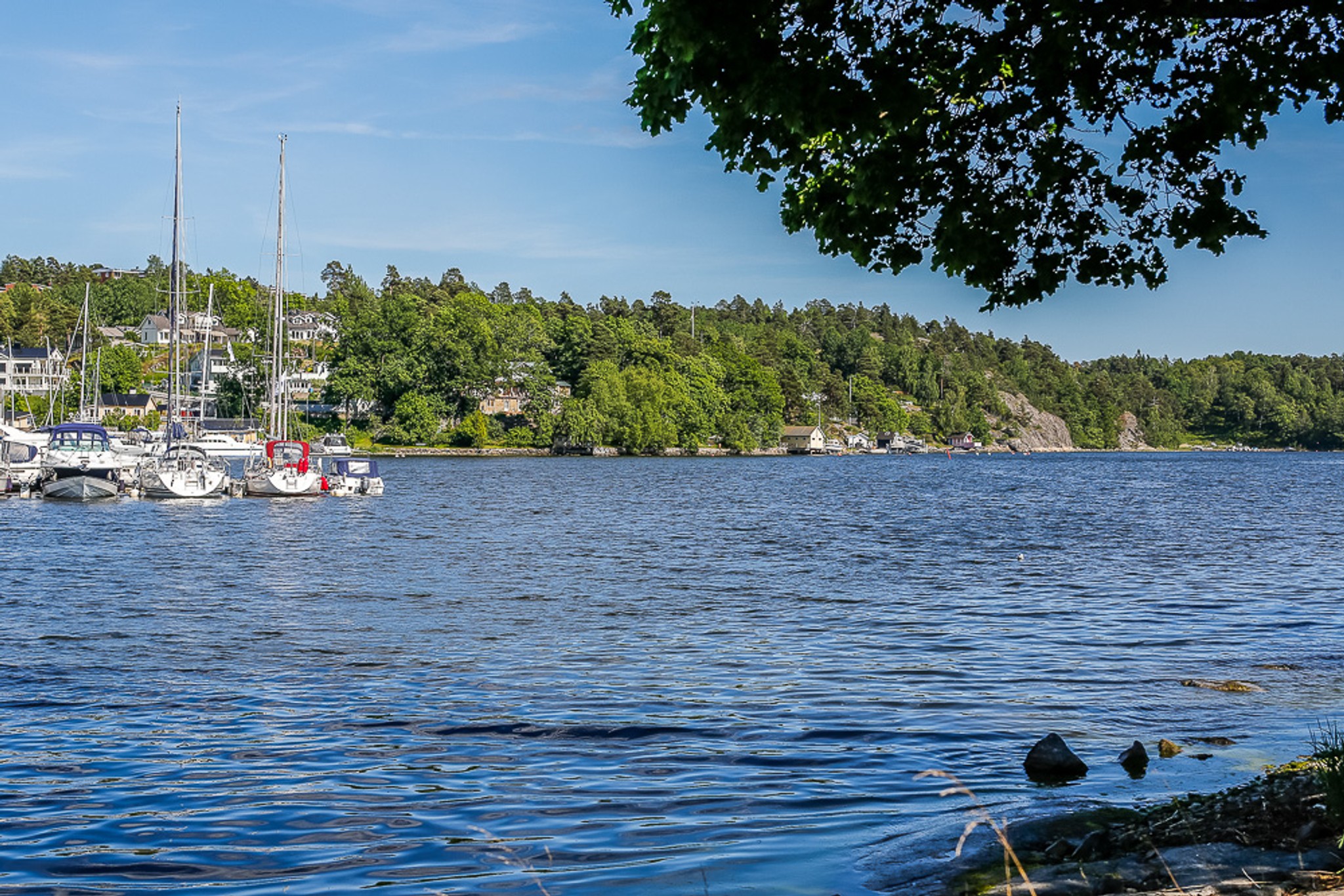 Vattnet vid Saltsjö-Duvnäs