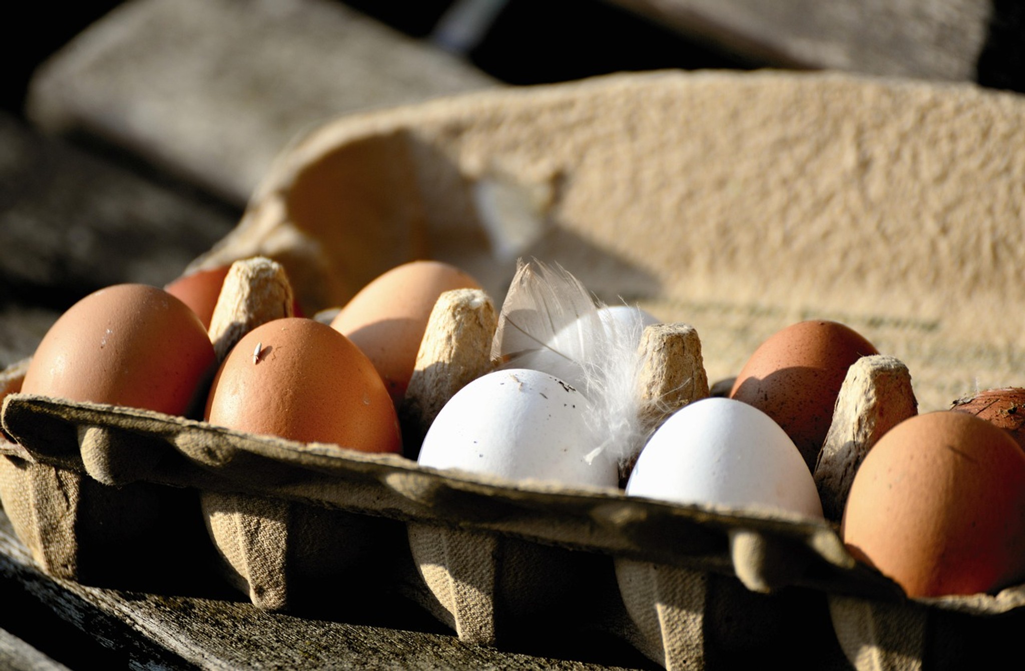 Vita och bruna hönsägg