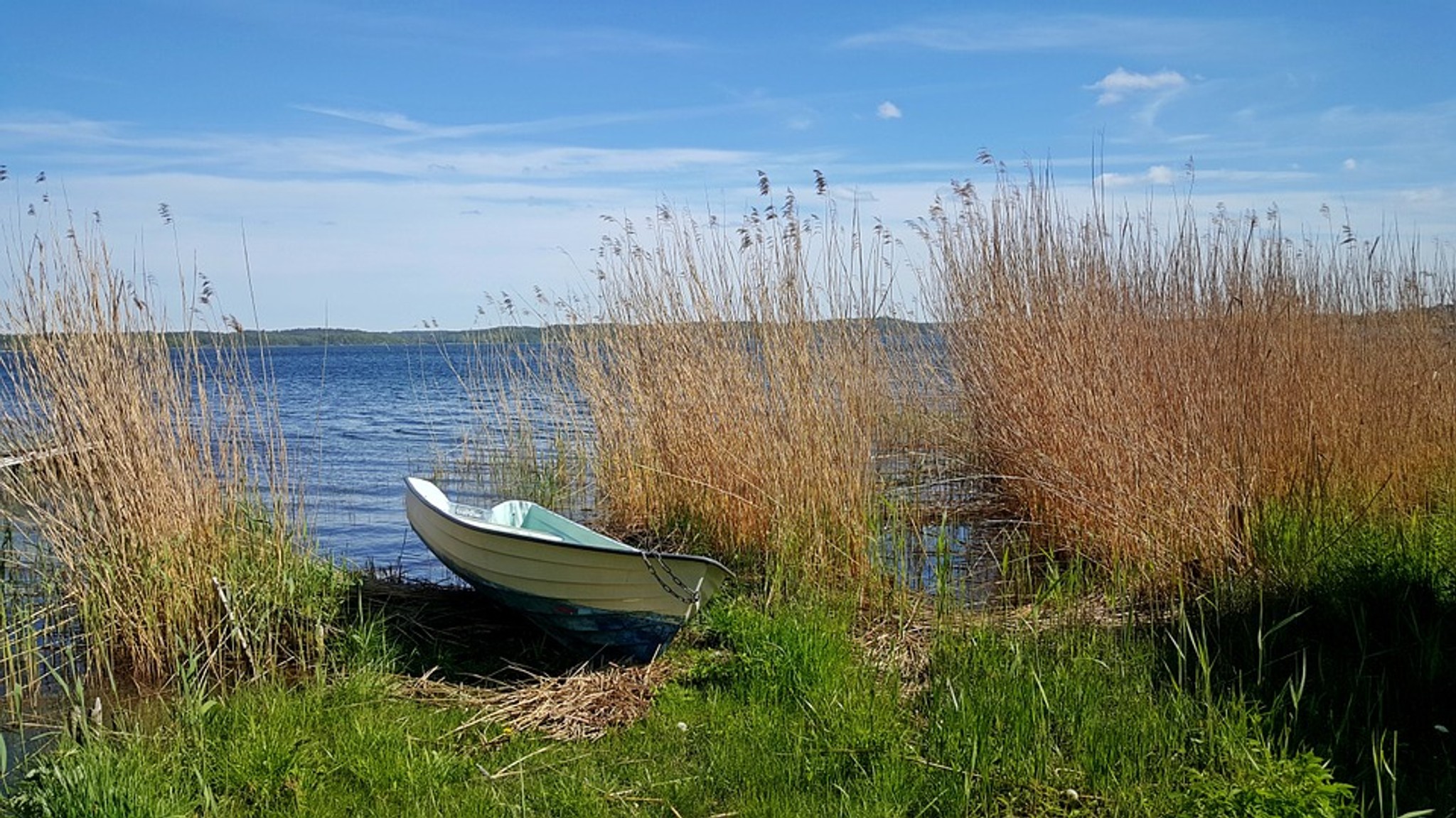 En uppdragen båt i vassen