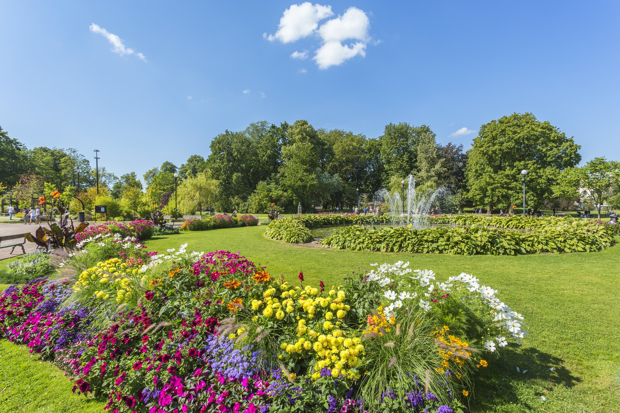 Blomsterrabatt
