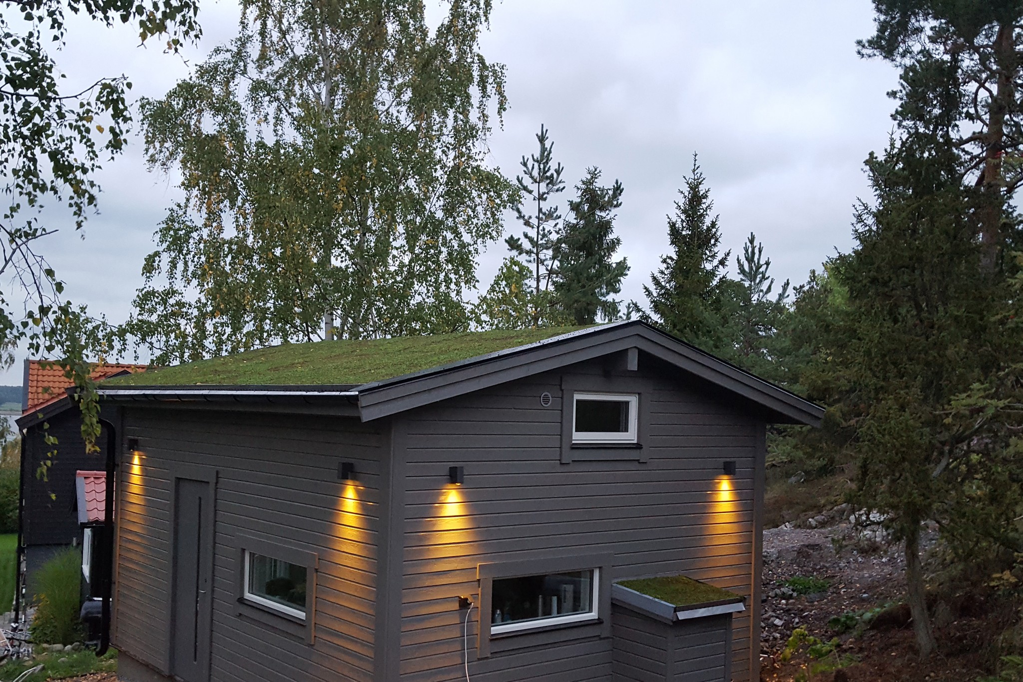 Hus med sedumtak