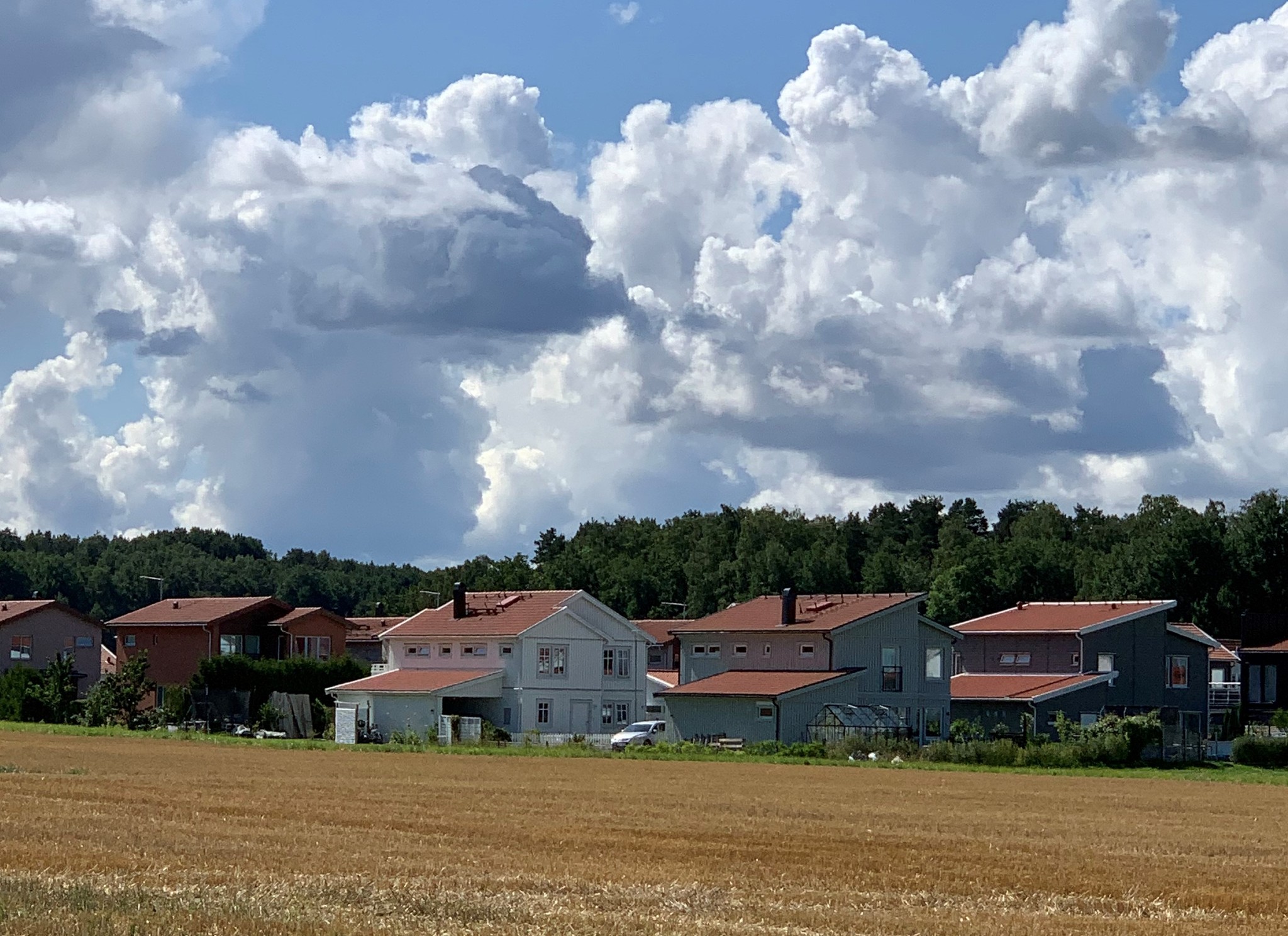 Hus på ett fält