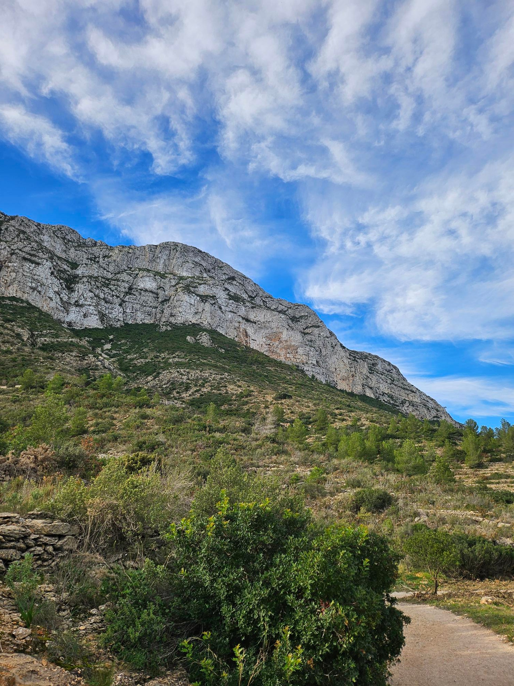 Utsikt mot bergssluttning