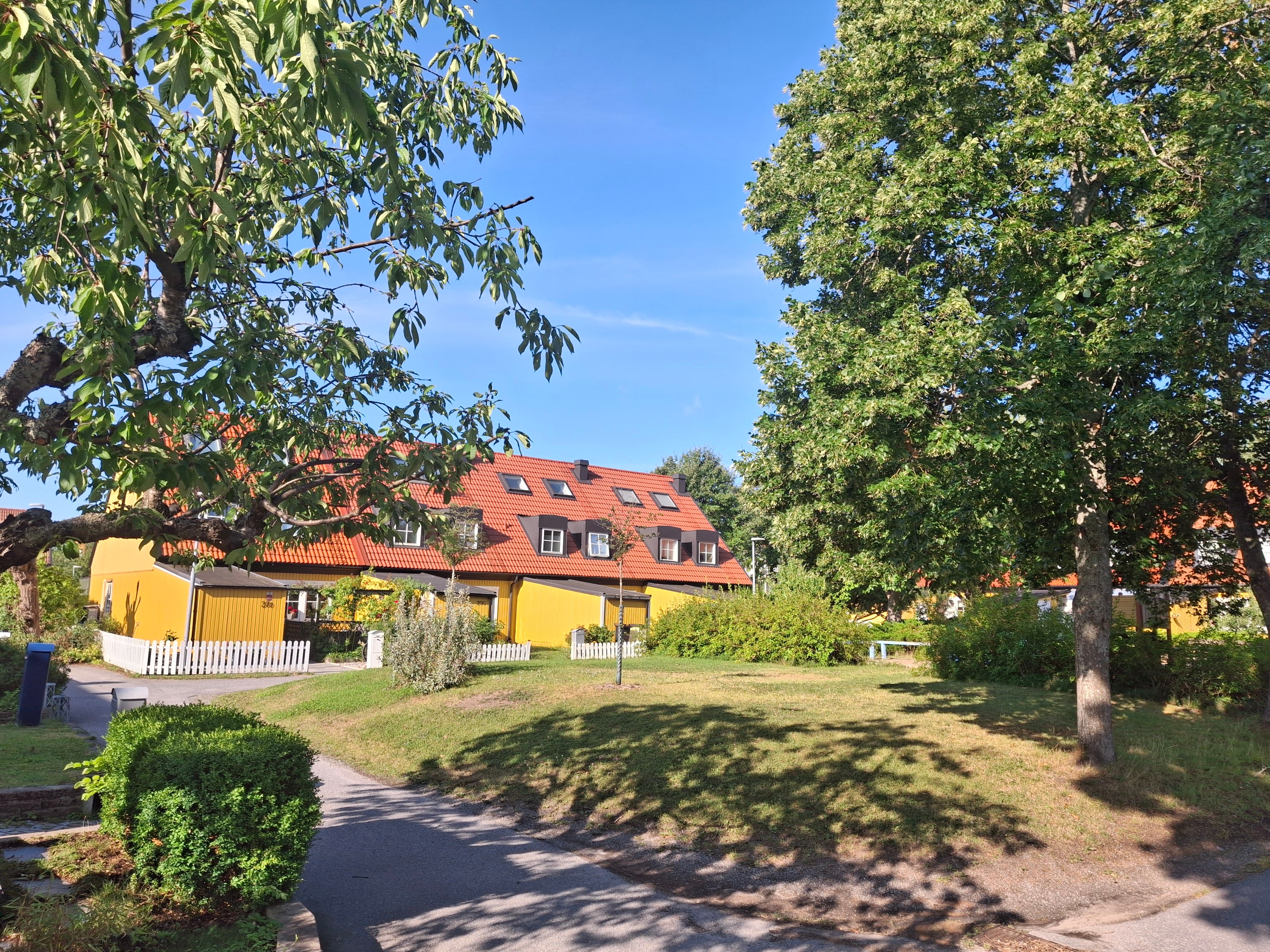 Radhusområde