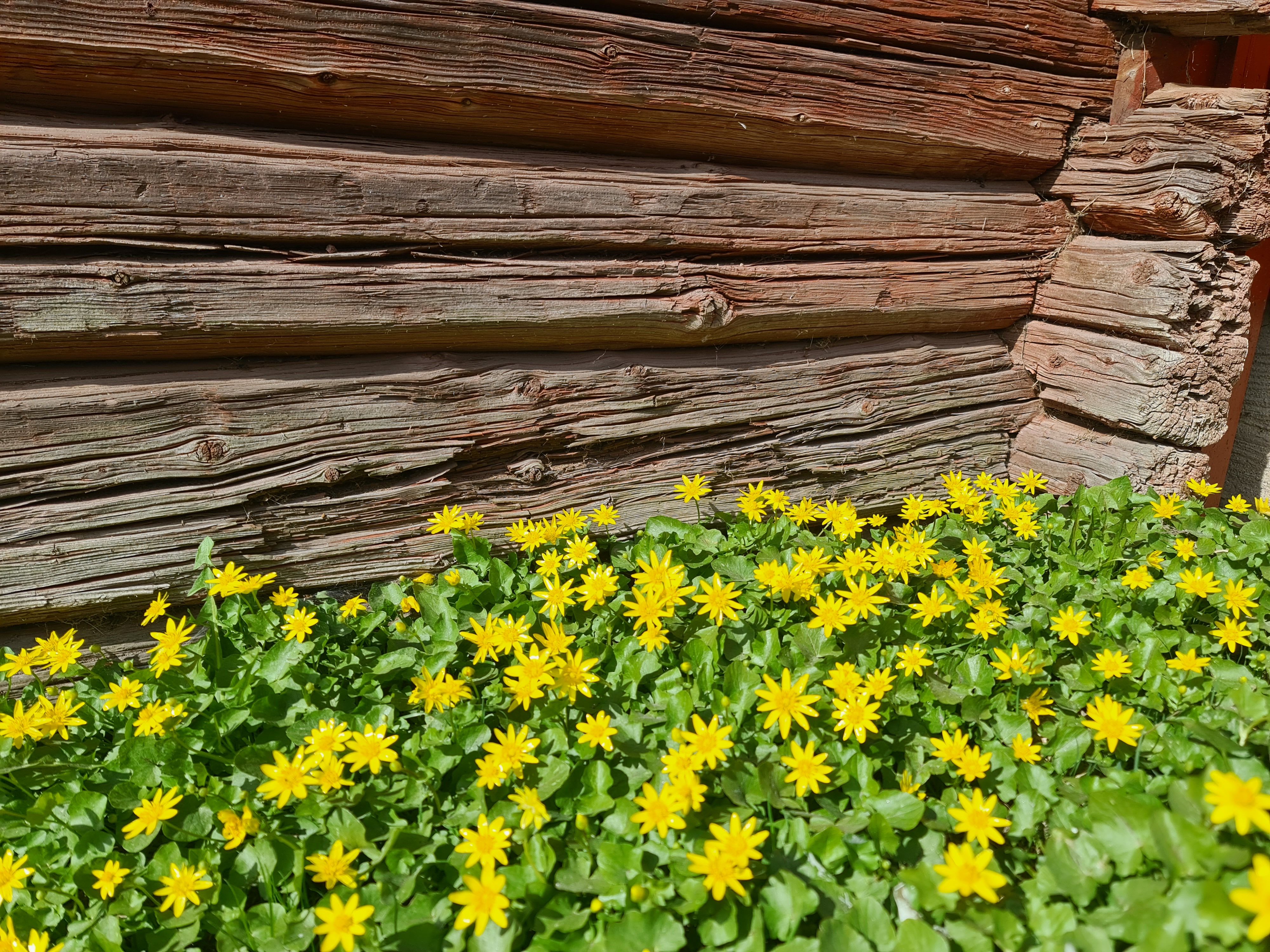 Mäklare Sköllersta