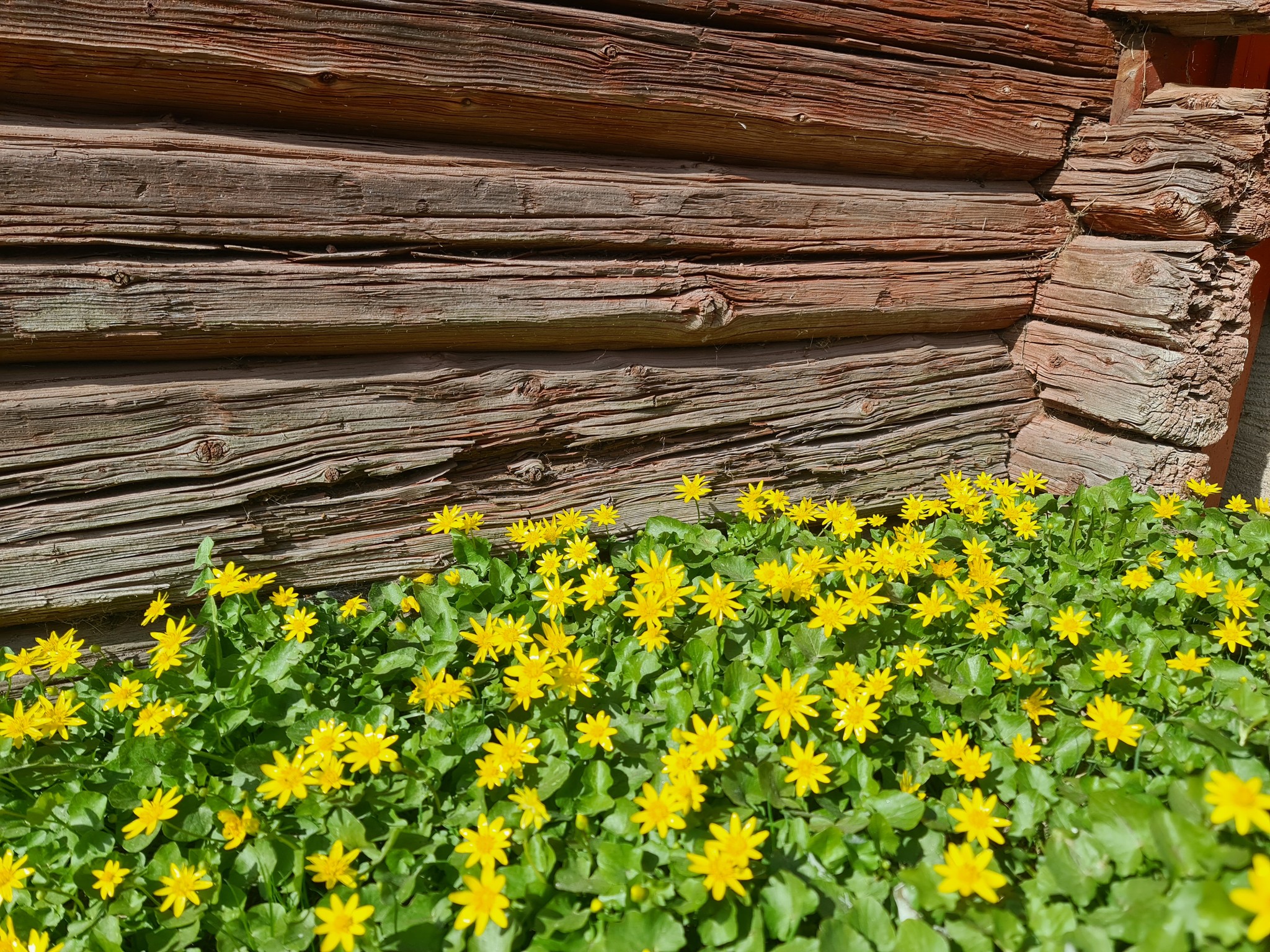 Mäklare Sköllersta