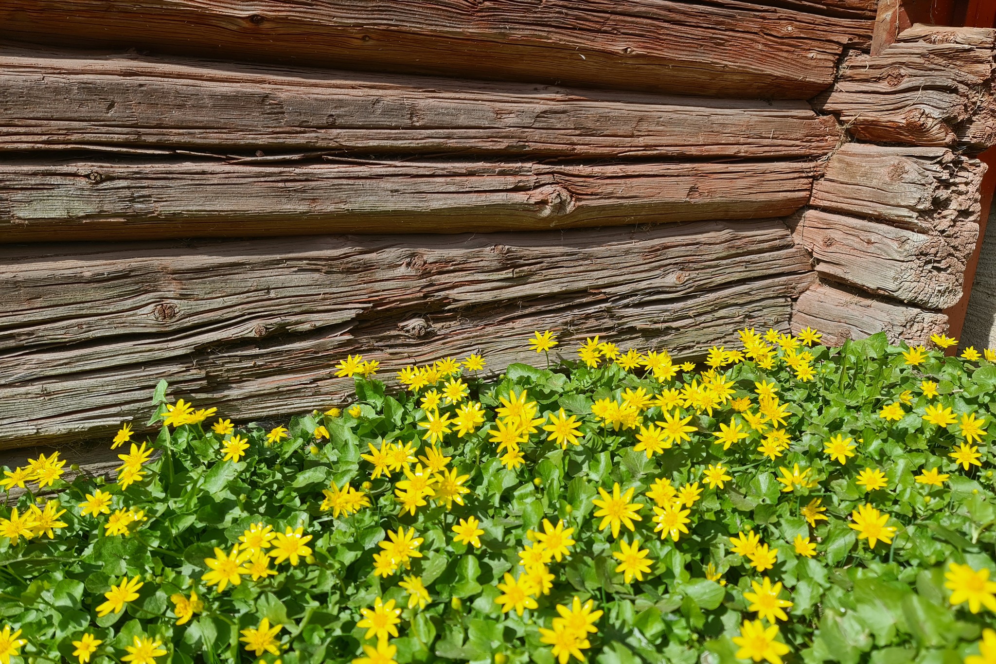 Mäklare Sköllersta