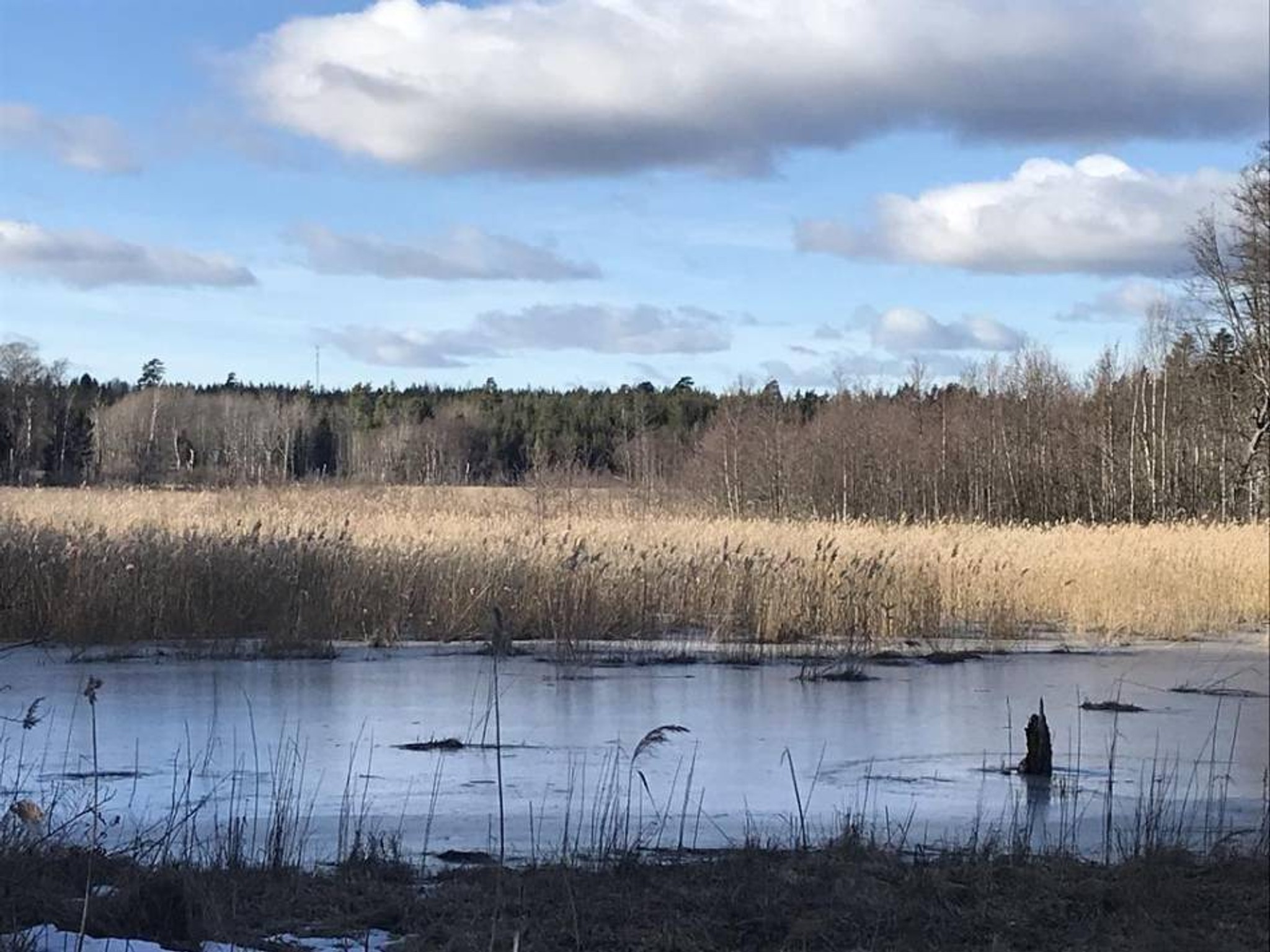 Ubbysjön