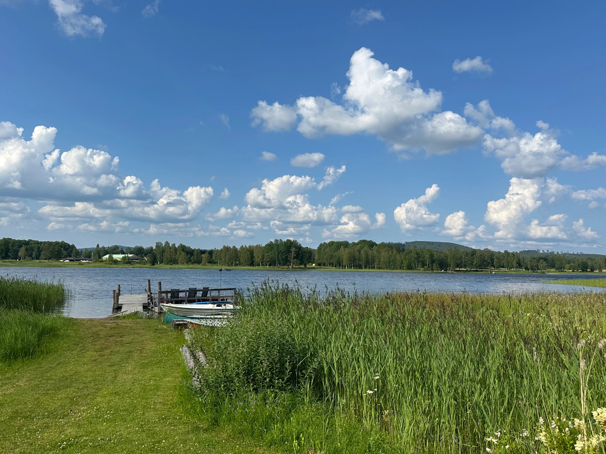 Mäklare Långshyttan