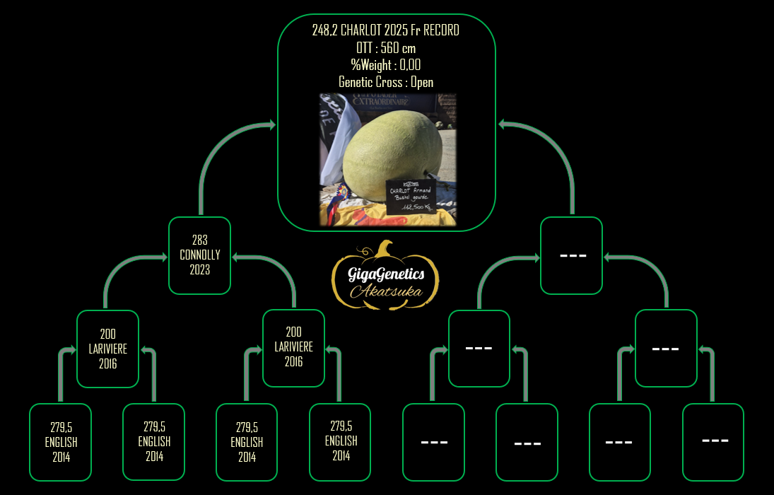Arbre généalogique de Gourde 248.2 Charlot 2025