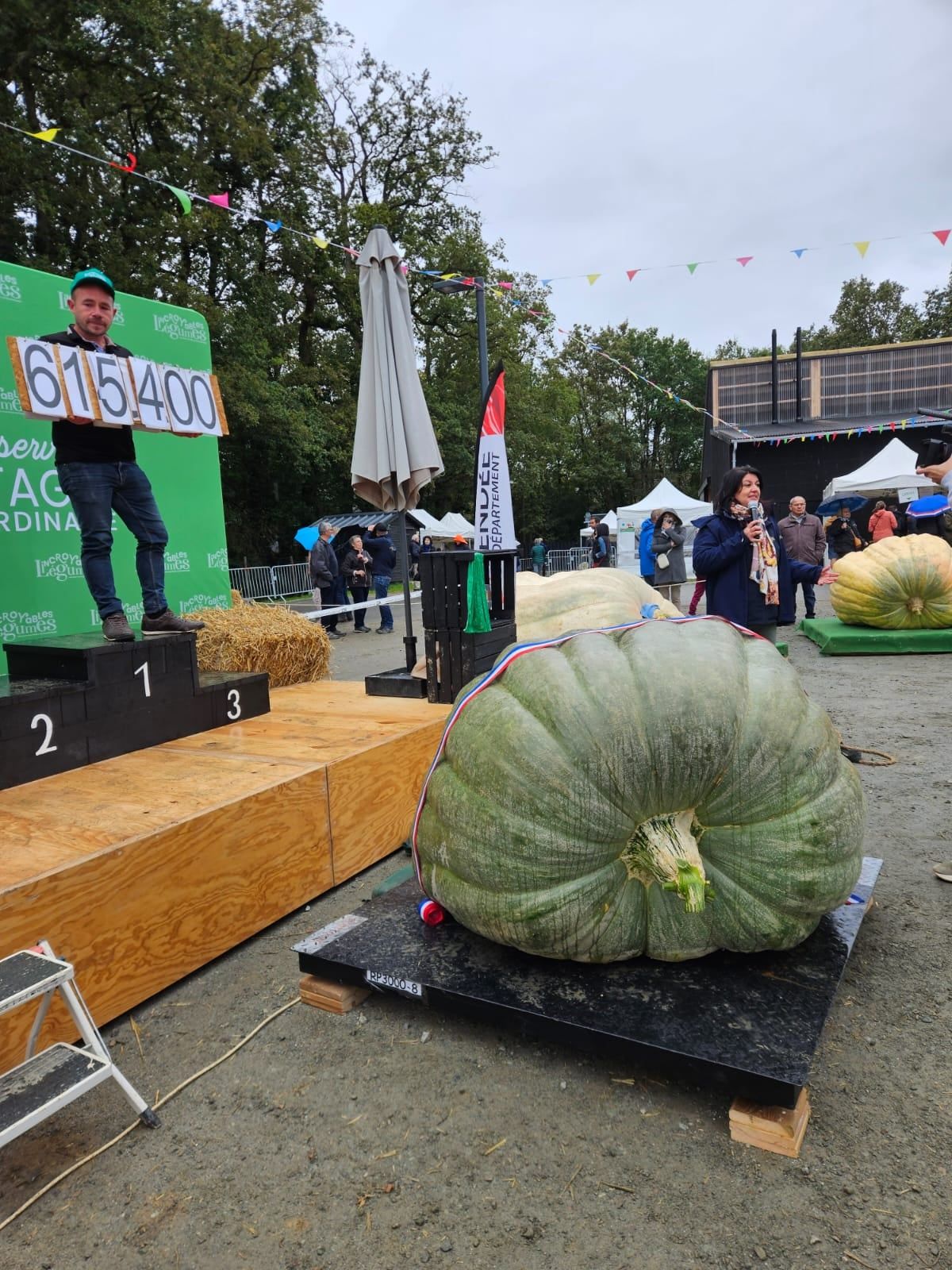 Courge 1356.7 Bernard 2024