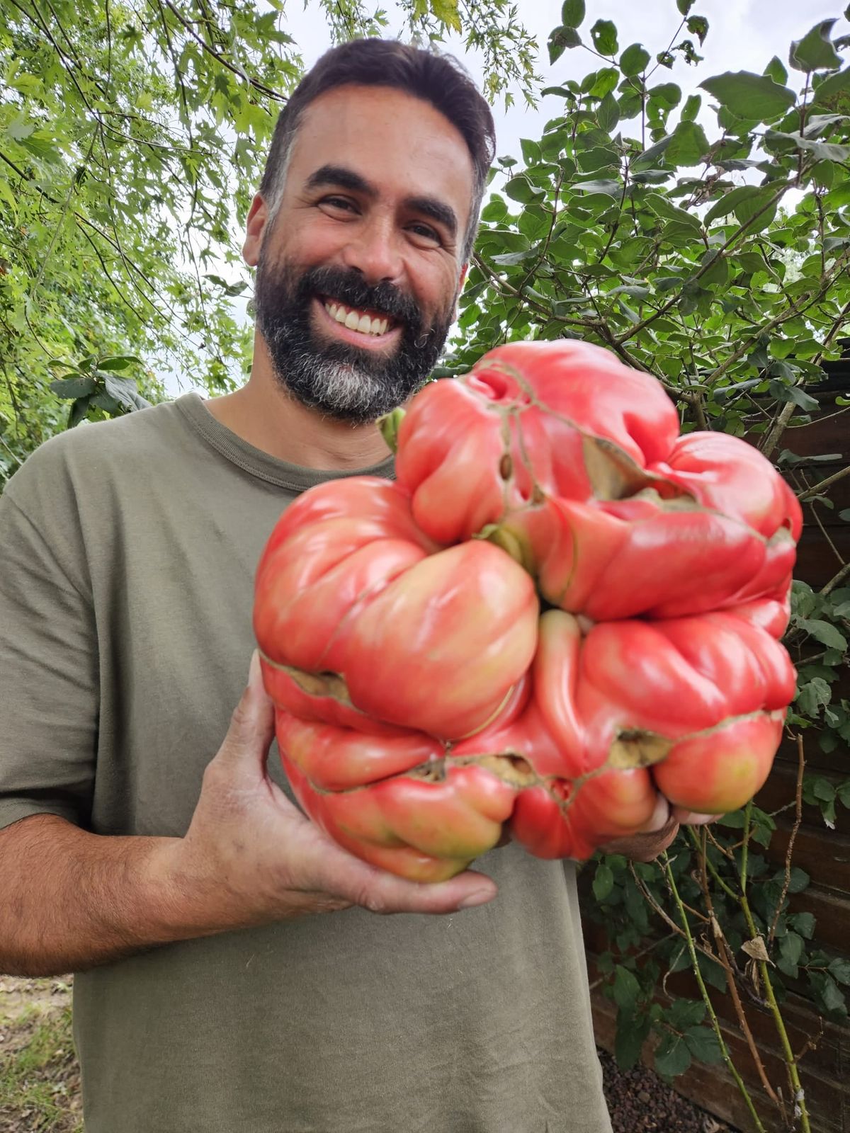 Tomate 8.8 Daho 2023