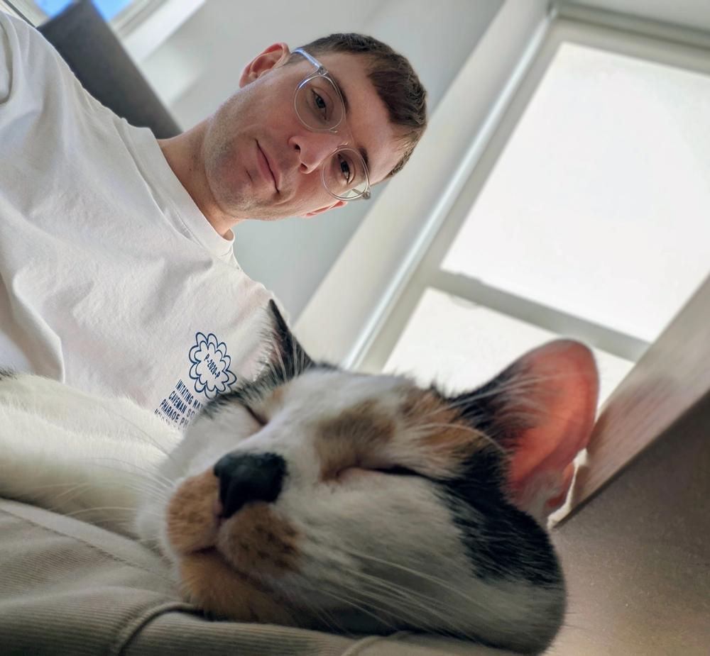 a cat visitor stopped by