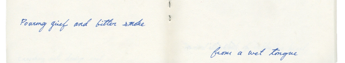 An open book with two pages of typed text and handwritten blue captions. The left page reads 'Pooring grief and bitter smoke' and the right page reads 'from a wet Tongue'.