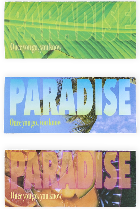 Three rectangular stickers, each saying 'PARADISE' and 'Once you go, you know' with different tropical backgrounds.