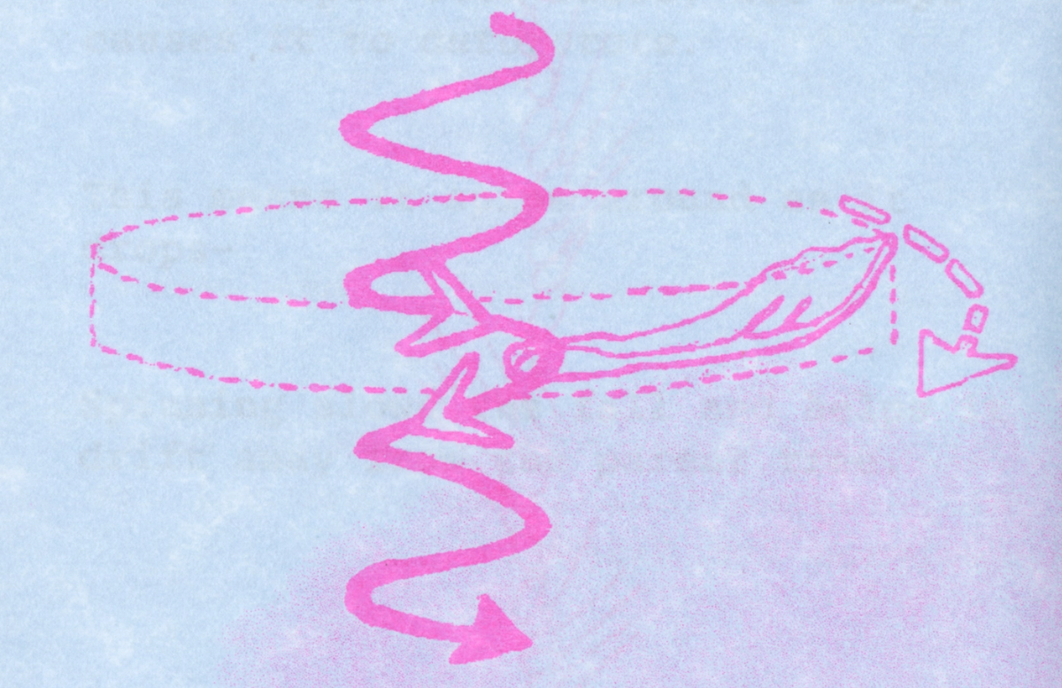 A two-page zine spread with pink text and a diagram of a spinning maple seed on light blue pages, detailing "THE SCIENCE BEHIND THEIR SPIN".