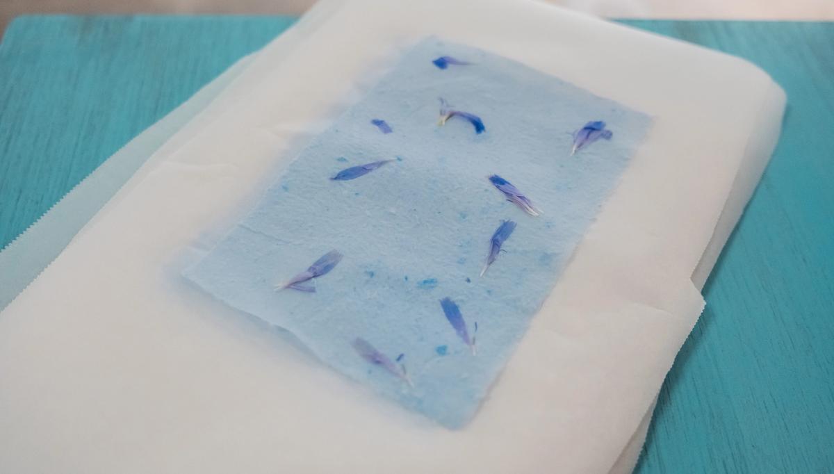 Light blue paper embedded with purple petals, resting on white paper on a teal surface.