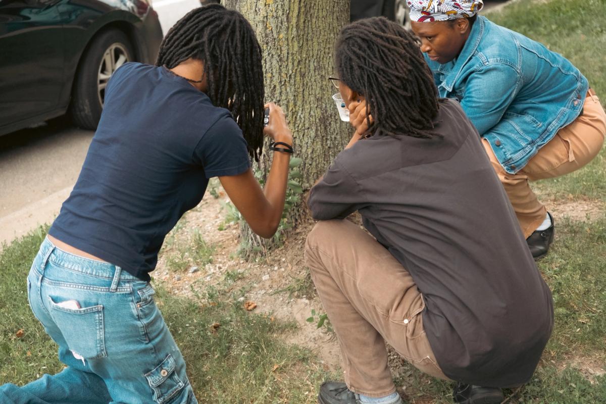 Three people crouch around a tree trunk, one photographing it with a phone.