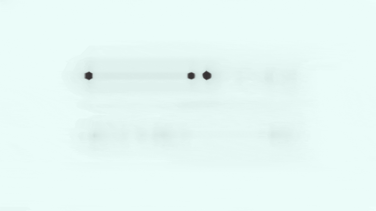 a white background with a few black dots on it