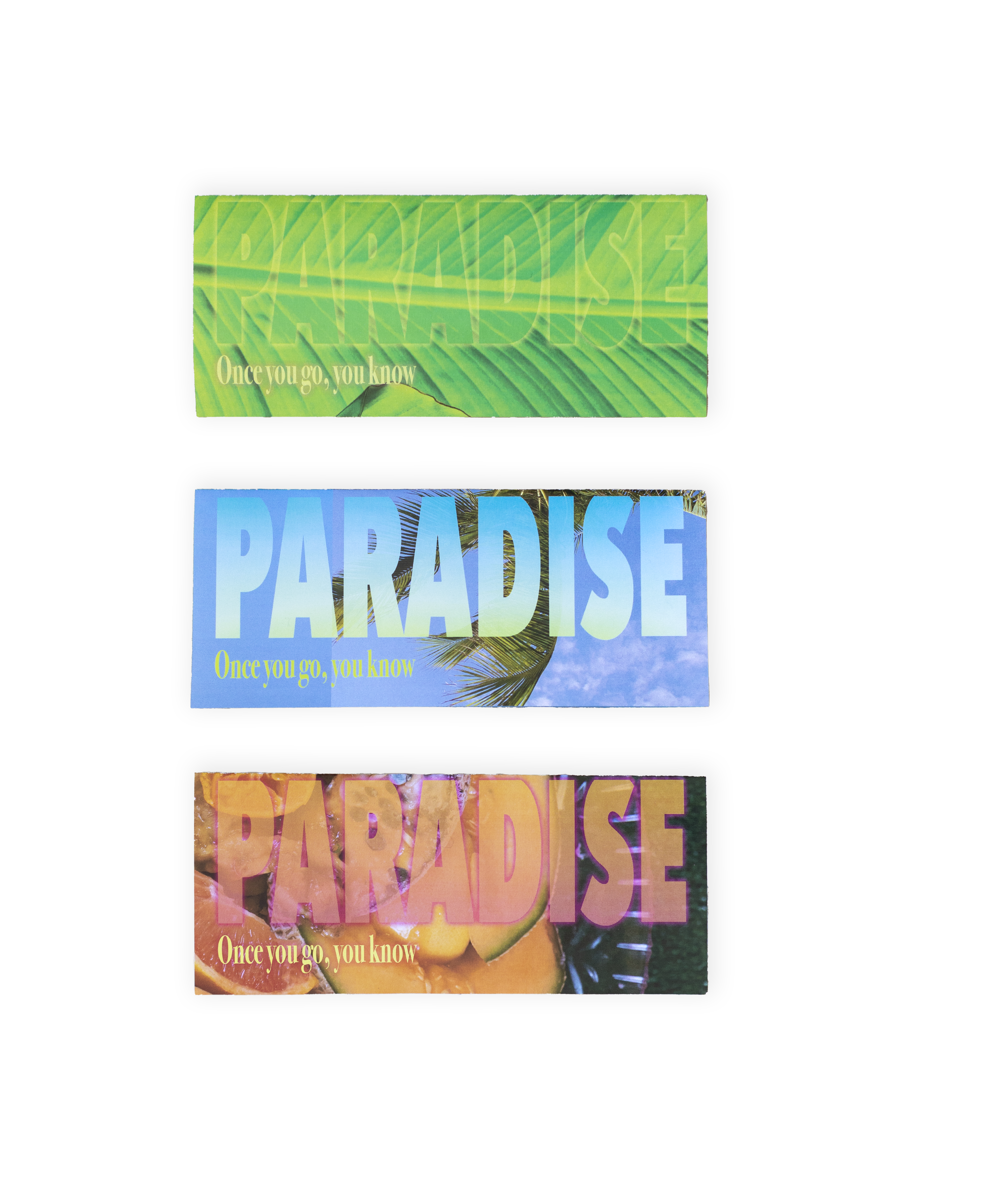 Three rectangular stickers, each saying 'PARADISE' and 'Once you go, you know' with different tropical backgrounds.