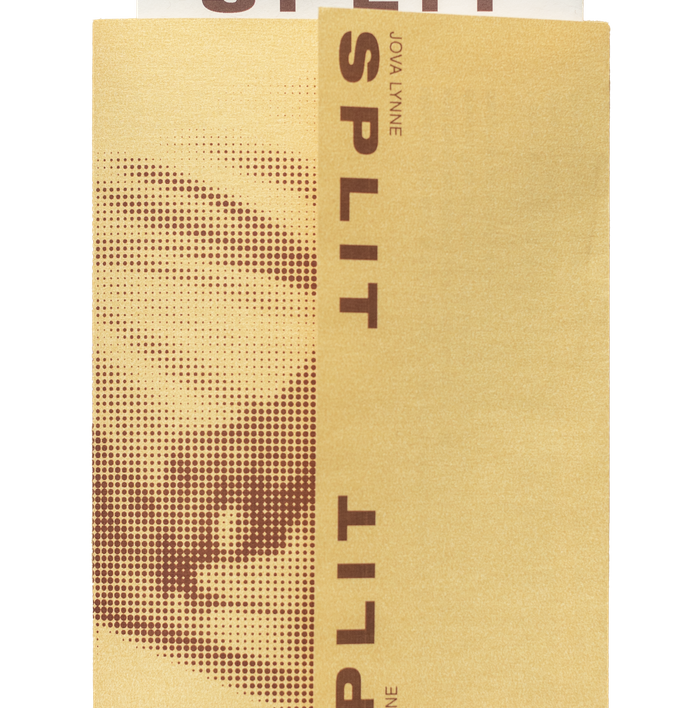 A tan-colored book with "SPLIT" vertically printed in brown and a halftone image of an eye, with a white book partially visible behind it also reading "SPLIT".