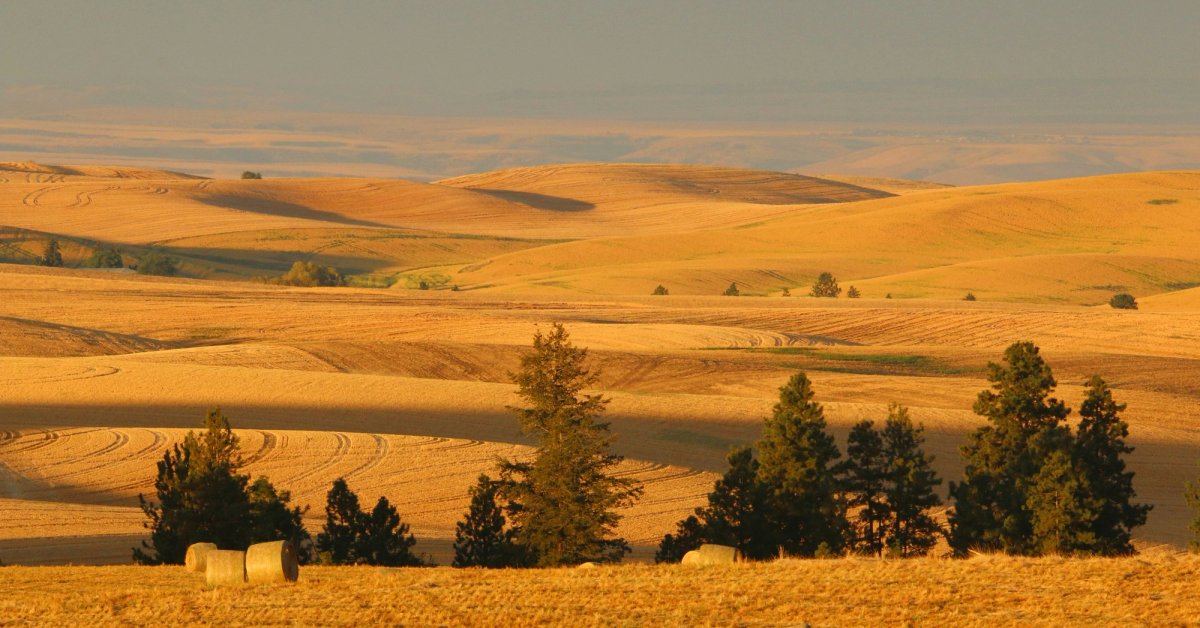 Field in Nampa, Idaho
