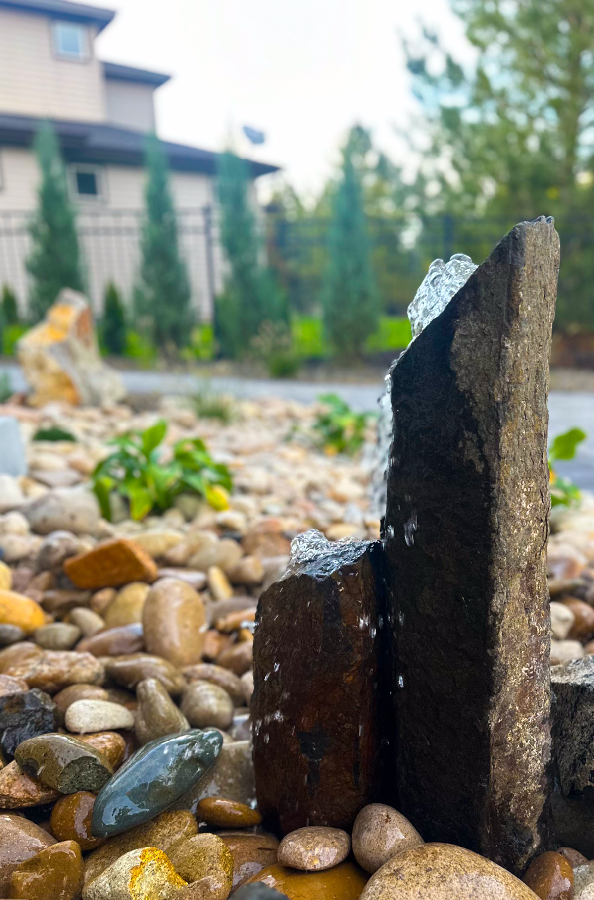 Water Feature