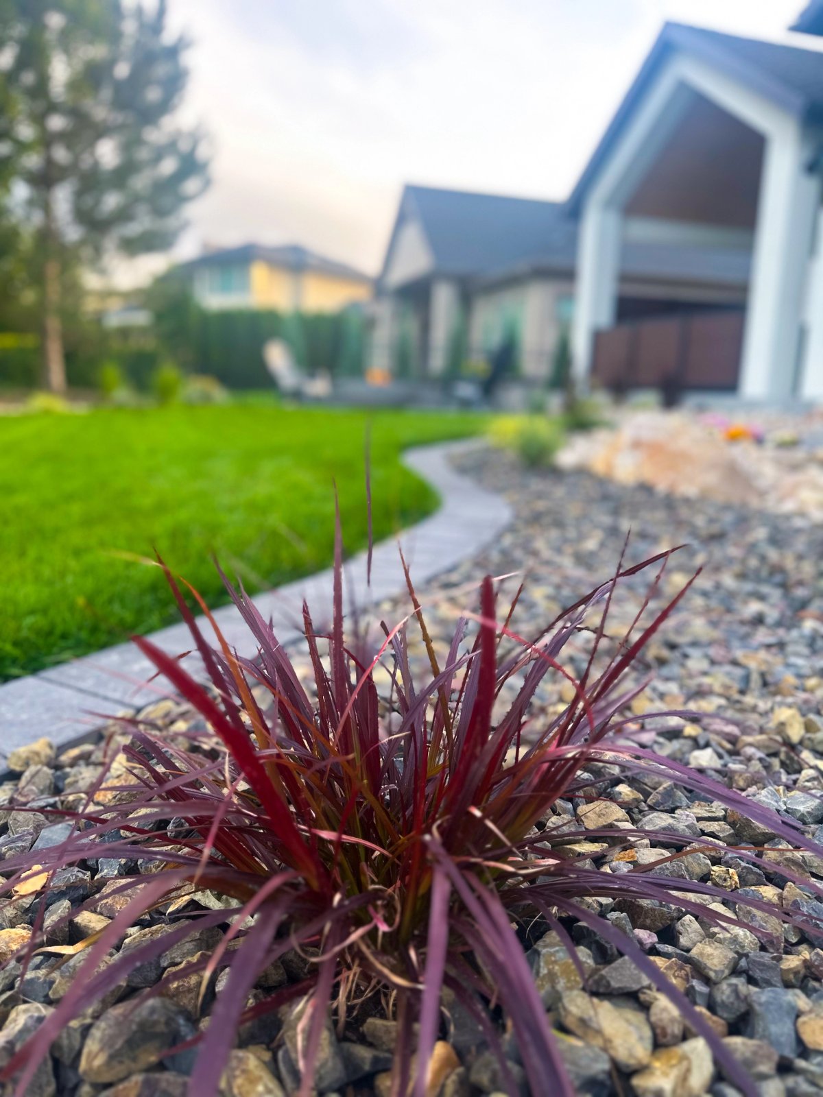 Native Idaho Plants