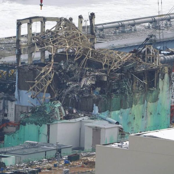 NH #715: VOICES FROM JAPAN - FUKUSHIMA at 14 - Clean-up or Cover-up?" True State of Disaster Site from Citizens' Nuclear Information Center