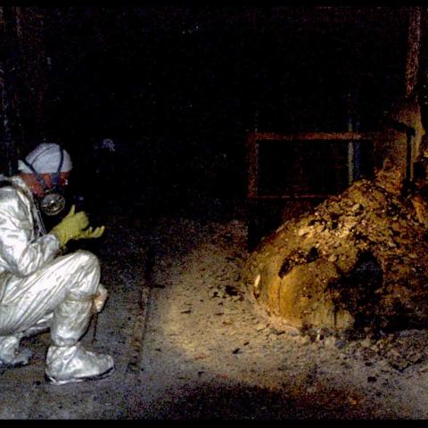 NH #670: SPECIAL: Chernobyl Nuclear Disaster 38th Anniversary - Survivor Bonnie Kouneva, Dr. Janette Sherman, Tim Mousseau, Alexei Yablakov, Ryuichi Hirokawa