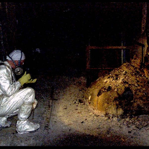 NH #670: SPECIAL: Chernobyl Nuclear Disaster 38th Anniversary - Survivor Bonnie Kouneva, Dr. Janette Sherman, Tim Mousseau, Alexei Yablakov, Ryuichi Hirokawa