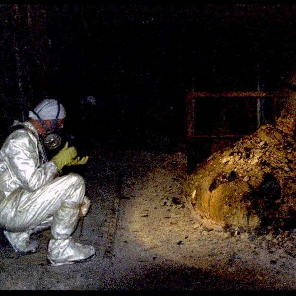 NH #670: SPECIAL: Chernobyl Nuclear Disaster 38th Anniversary - Survivor Bonnie Kouneva, Dr. Janette Sherman, Tim Mousseau, Alexei Yablakov, Ryuichi Hirokawa