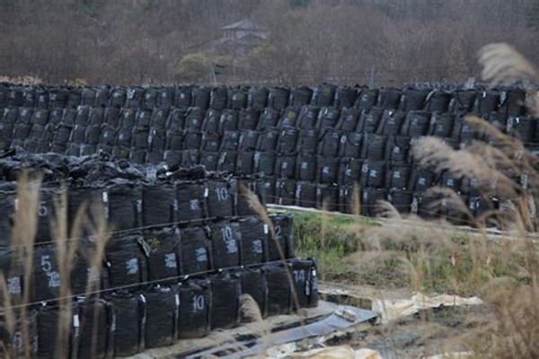 NH #727:  Life in Japan's Ongoing Radiation Disaster Zone - Good Idea? (NO!) "Return to Fukushima" Author Thomas Bass