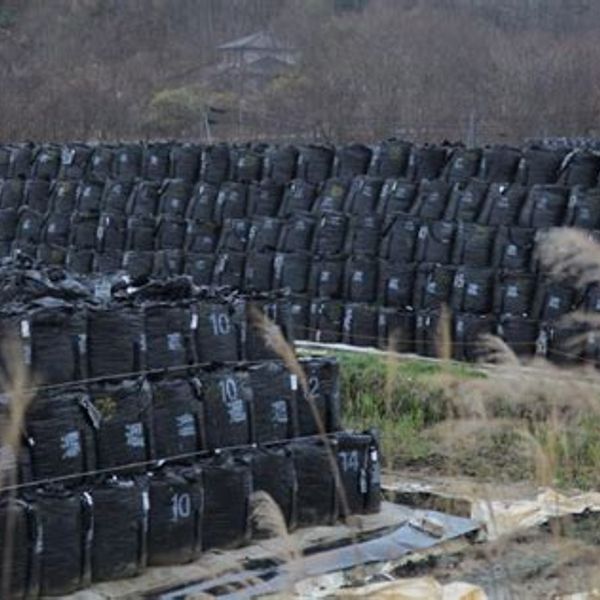 NH #727: Life in Japan's Ongoing Radiation Disaster Zone - Good Idea? (NO!) "Return to Fukushima" Author Thomas Bass