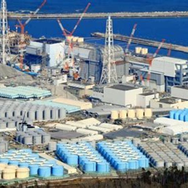 NH #613: TRITIUM: Japan's Radioactive Water Dump Lies, Tritium Truth w/Marine Biologist Tim Deere-Jones